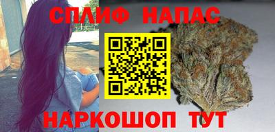 Альфа ПВП Обь