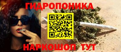 Альфа ПВП Обь